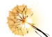 dandelion icon